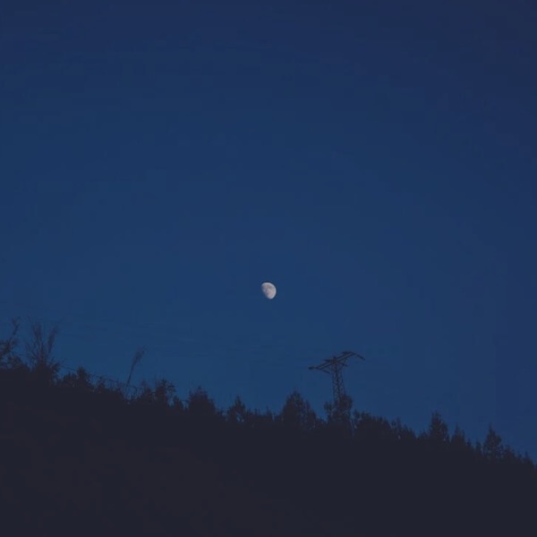 Never Meant to Belong - Bleach - Penguin Piano